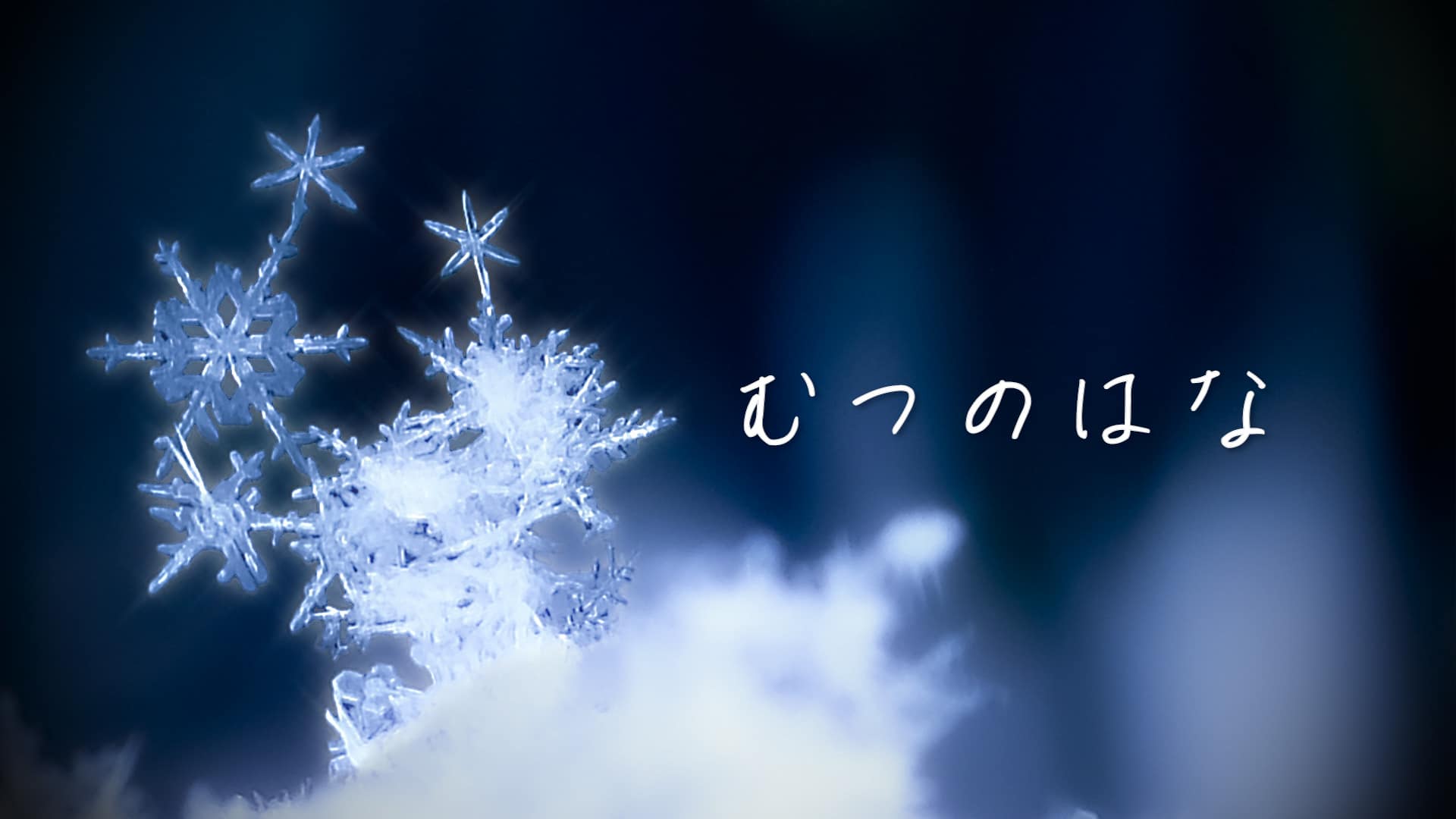 「むつのはな」feat.Fukase -2025/11/29