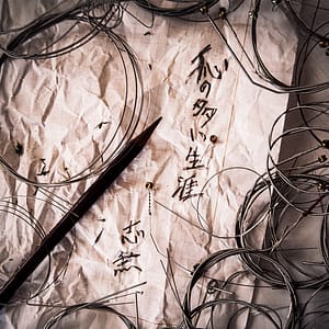 志無 1stフルアルバム「恥の多い生涯」